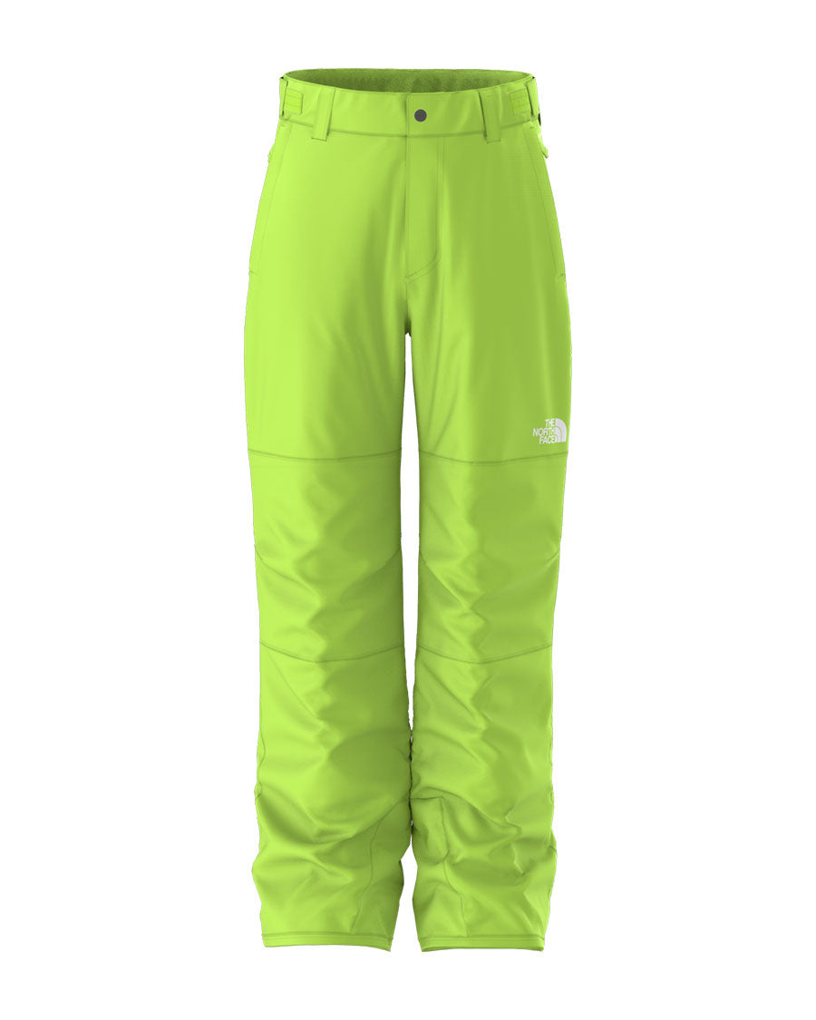 North face freedom insulated pants online