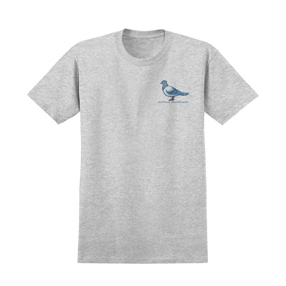 Anti-Hero Lil Pigeon T-Shirt Sport Grey