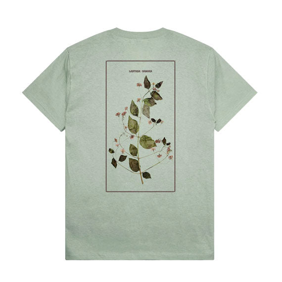 Pass-Port Lantana T-Shirt - Stonewash Green
