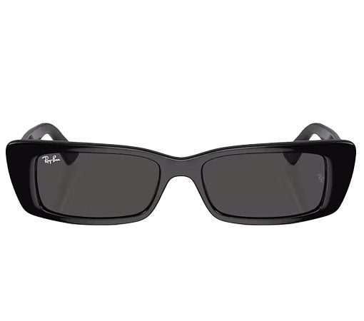 Ray-Ban Teru - Black