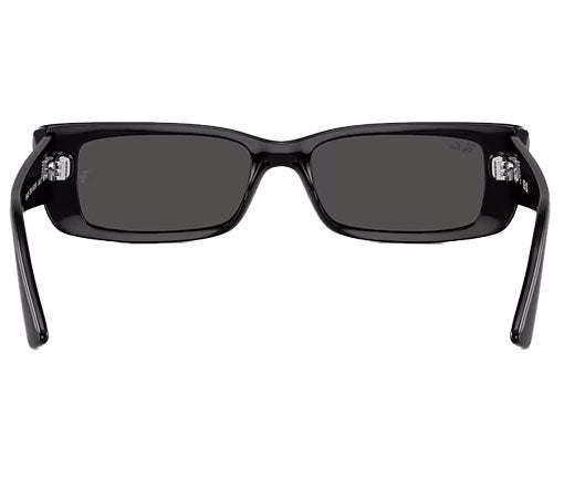 Ray-Ban Teru - Black