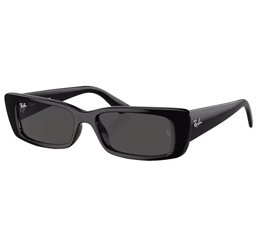 Ray-Ban Teru - Black