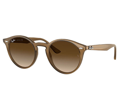 Ray-Ban Turtledove W/ Brown Gradient Dark Brown Propionate Man Sunglass