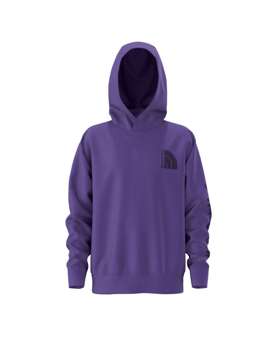 The North Face Kids' Jumbo Camp Fleece Pullover Hoodie Peak Purple 2025