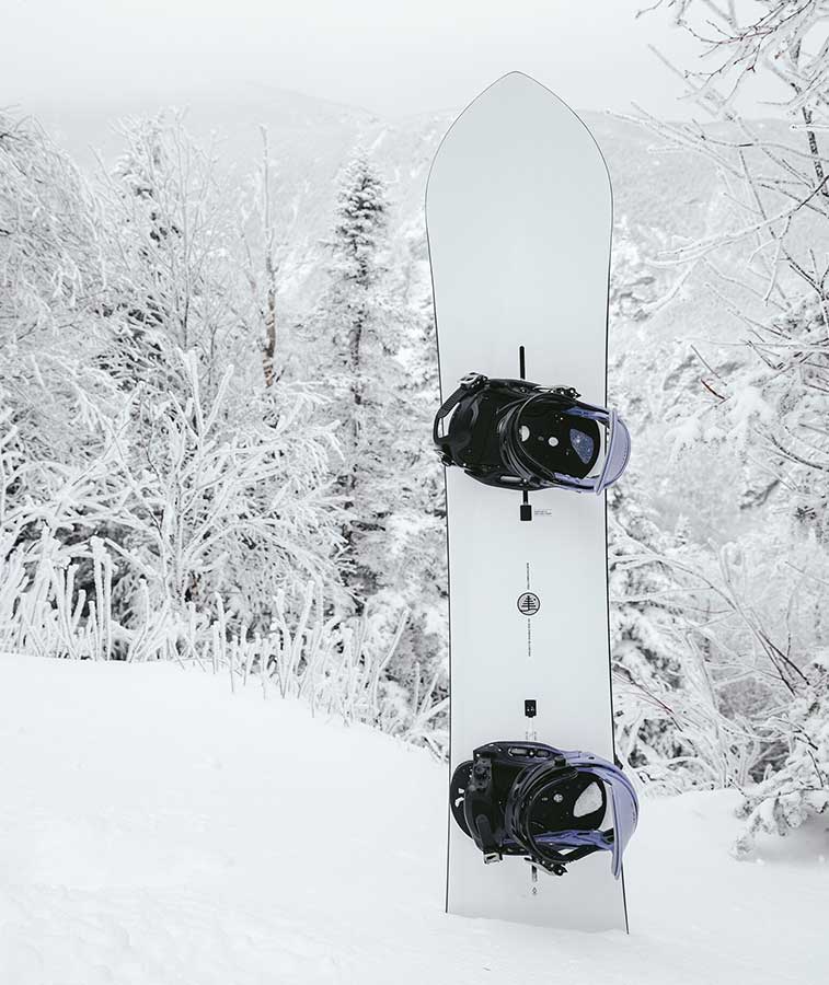 Burton Family Tree 3D Double Dog Snowboard 2022