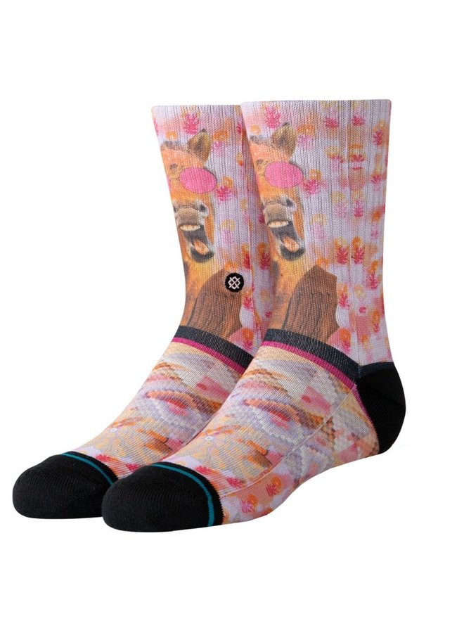 Stance Youth Hayleys Horse Sock Pink