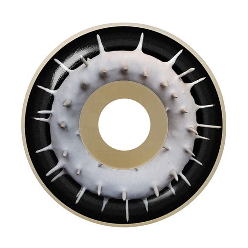 Spitfire F4 Max Palmer Spiked Conical 99A Wheels 53mm